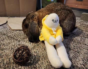 another reviewer photo of the doll with its hood off and its legs straight in front of it