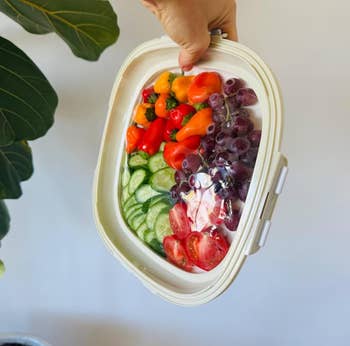 Reusable silicone container  with sliced cucumbers, tomatoes, peppers, and grapes. Hand holding the container  adjacent   a plant