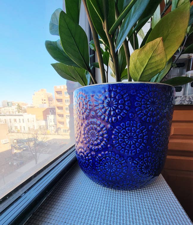 a deep blue ceramic planter with circular designs on it