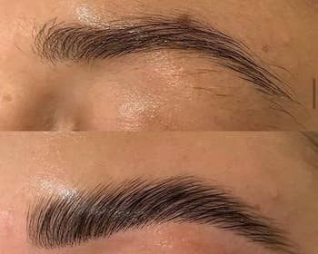 Close-up examination  of eyebrows earlier  and aft  grooming. 