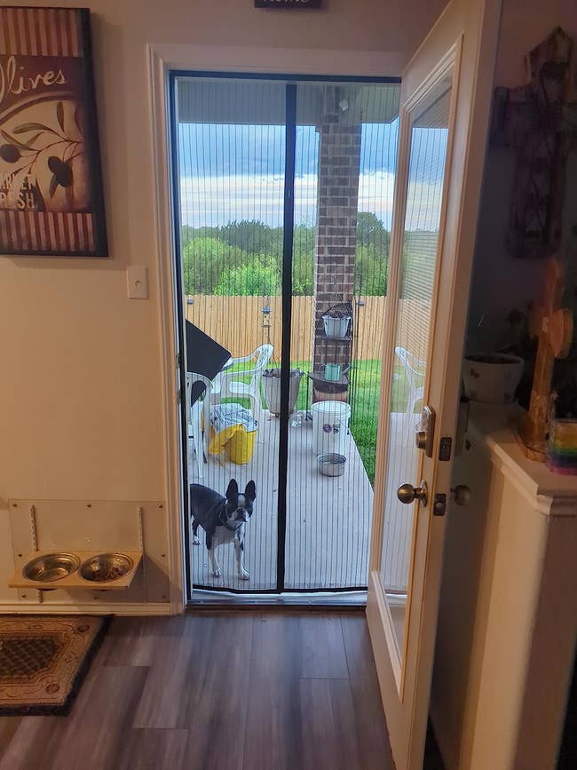 A dog looks out a glass door leading to a deck with chairs and a countryside view, likely pondering outdoor accessories