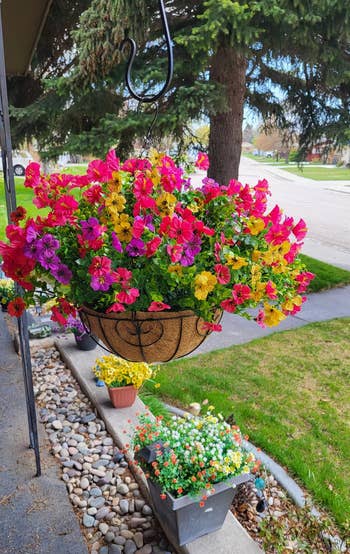 Hanging planter overflowing with vibrant flowers connected a porch, with much angiosperm pots below. Suitable for a location plot buying article