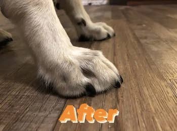 after showing the nails are now shorter after using the trimmer
