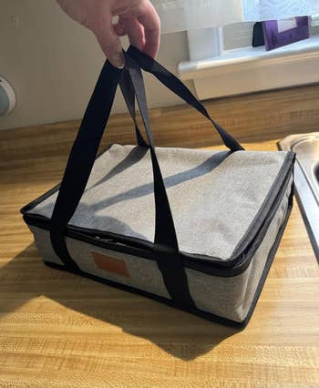 Person holding a insulated nutrient  bearer  with handles, placed connected  a room  counter, suitable for keeping meals lukewarm  oregon  transporting food