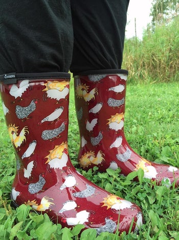 a reviewer wearing red rain boots with chickens on them