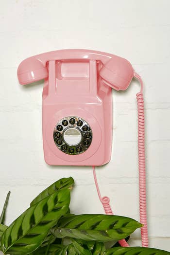 Retro rotary wall phone with leafy plant in foreground, suitable for vintage-inspired home decor