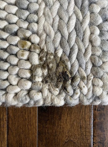 reviewer image of a pet stain on a carpet