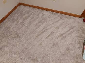 same reviewer's after photo of the carpet looking stain-free after being treated with the carpet cleaner