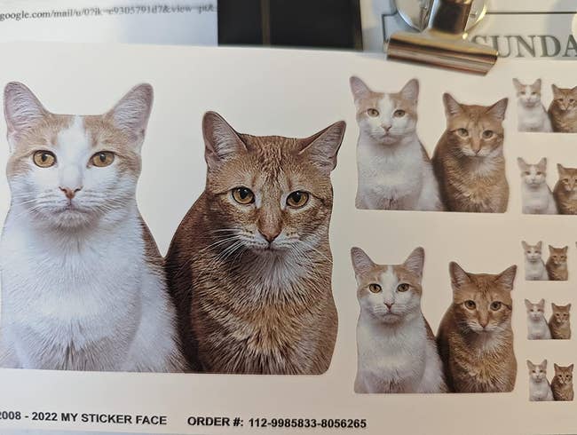 sticker of a reviewer's white and orange cats