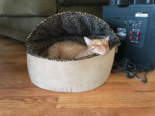 reviewer photo of cat asleep in hooded cat bed