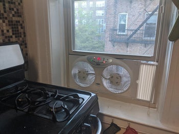 reviewer photo of window dan in kitchen next to stove