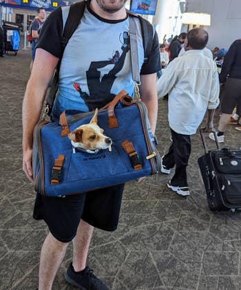 a reviewer holding the pet carrier using the crossbody strap and a small dog's head popping out of a front zip window in the carrier 