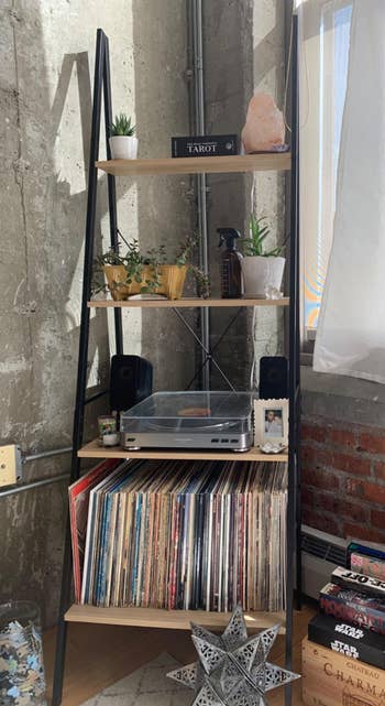 Reviewer image of shelf with records, a record player, plants, and more