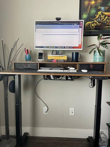 Standing desk with computer setup and decorative plants