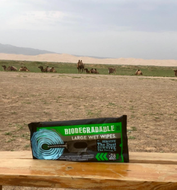reviewer's wipes on a table in front of many camels 