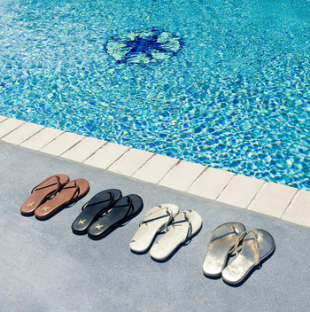 flip flips in brown, black, snake print, and gold