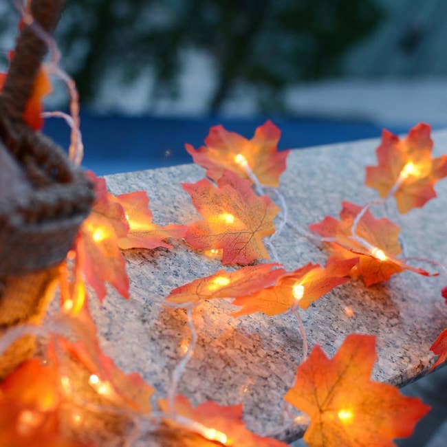 maple leaf string lights