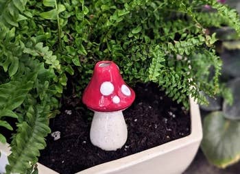 red mushroom watering spike inserted in plant pot