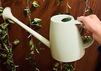 Reviewer holding light green watering can with spout
