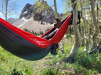 Person relaxing in a hammock between trees with a mountain in the background
