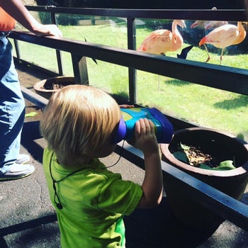 Reviewer's toddler using binoculars to look closer at yard