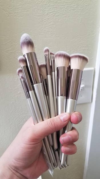 the reviewer holding the set of brushes