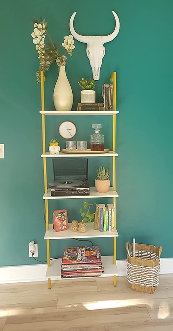 reviewer photo of the ladder shelf with books and plants against a green wall