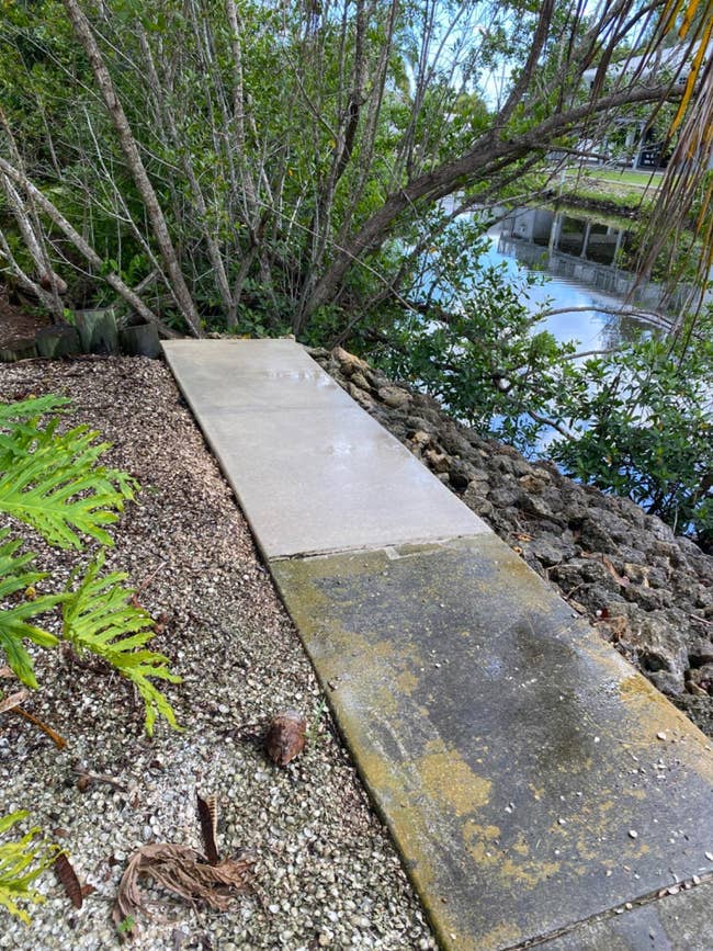 moss and dirt covered concrete by river washed clean with product 