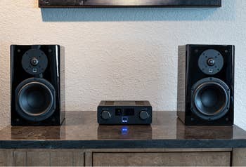 Image of two glossy black speakers