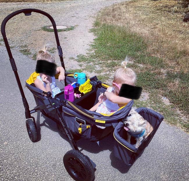 Reviewer's photo showing two kids sitting face to face in the wagon