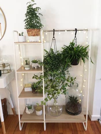 a reviewer photo of the clothing rack and attached shelves filled with different plants 