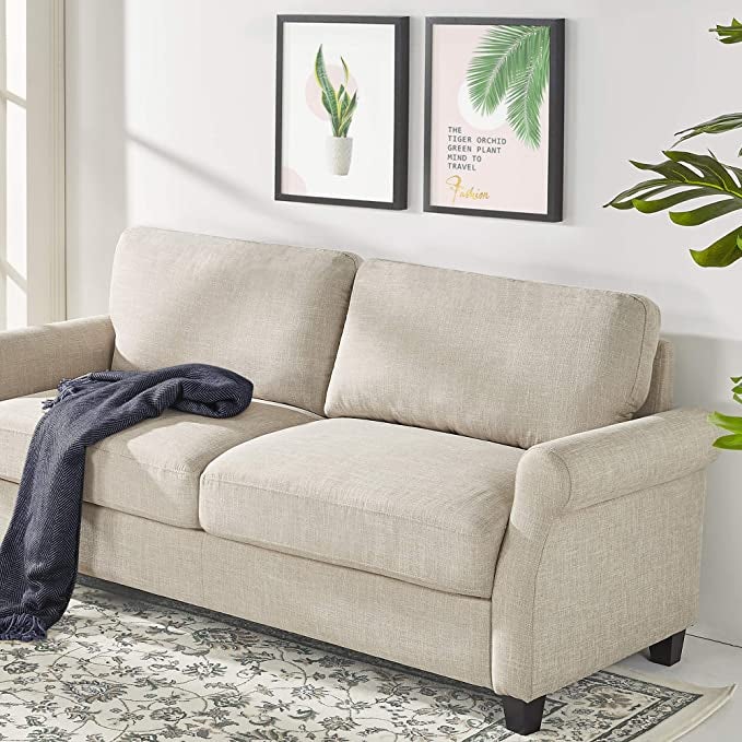 the beige two-seater sofa