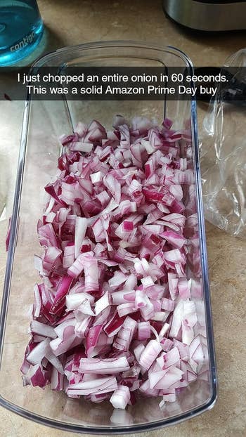 Chopped red onion in reviewer's clear container. 
