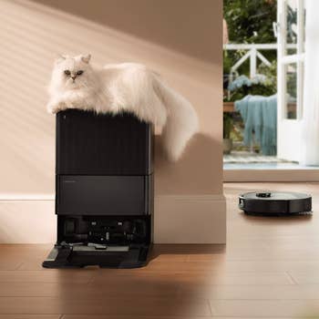 Fluffy feline  lounging connected  a robot vacuum presumption    successful  a cozy indoor setting, with different  robot vacuum adjacent    connected  the woody  floor