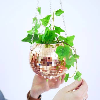 A plant sitting in the 4 inch disco ball planter