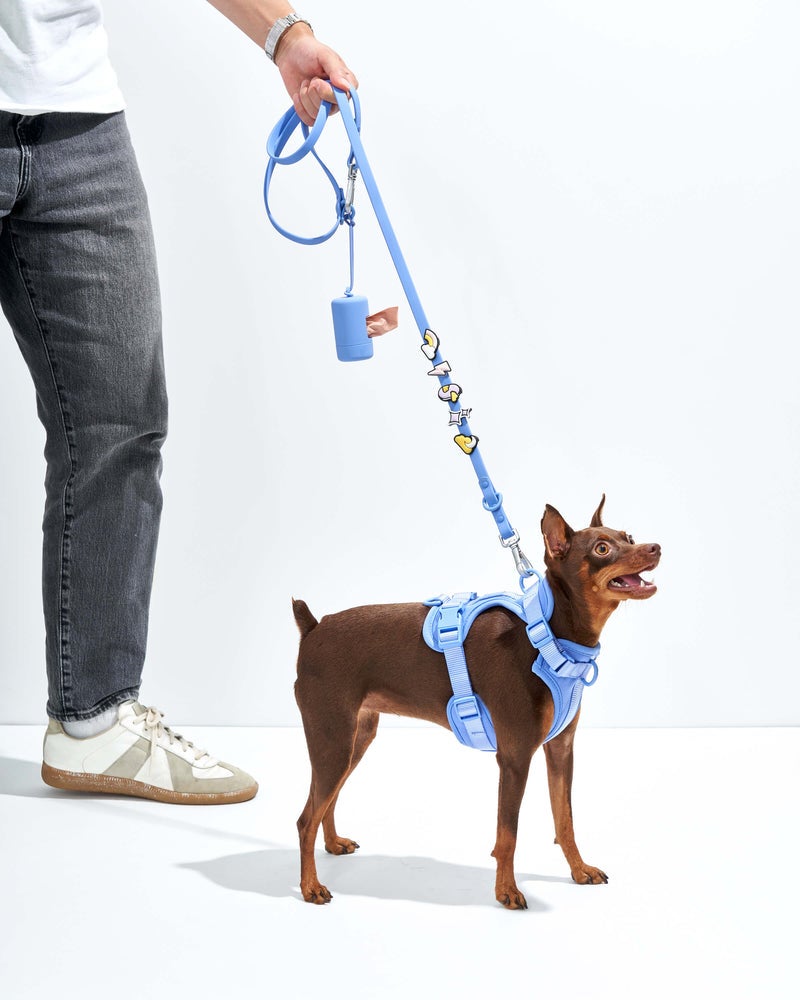 26 Fun Pet Products I Bet You Didn’t Know Existed