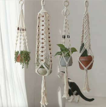 Image of four ivory macrame hangers with plants