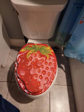 reviewer's strawberry toilet seat