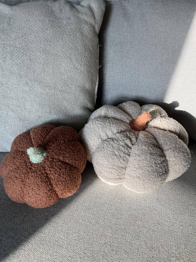 Two plush pumpkin-shaped pillows connected a sofa, cleanable for cozy location decor