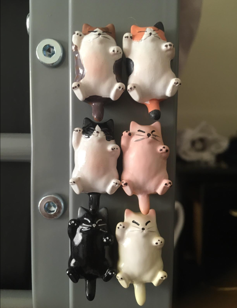 A set of six cat shaped magnets in different colors all magnetized to a locker 
