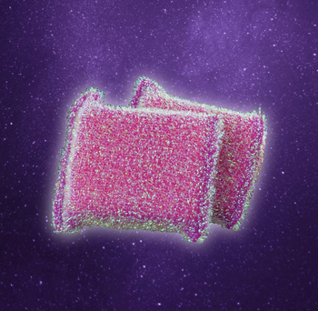 two of the sparkly pink sponges on a purple background