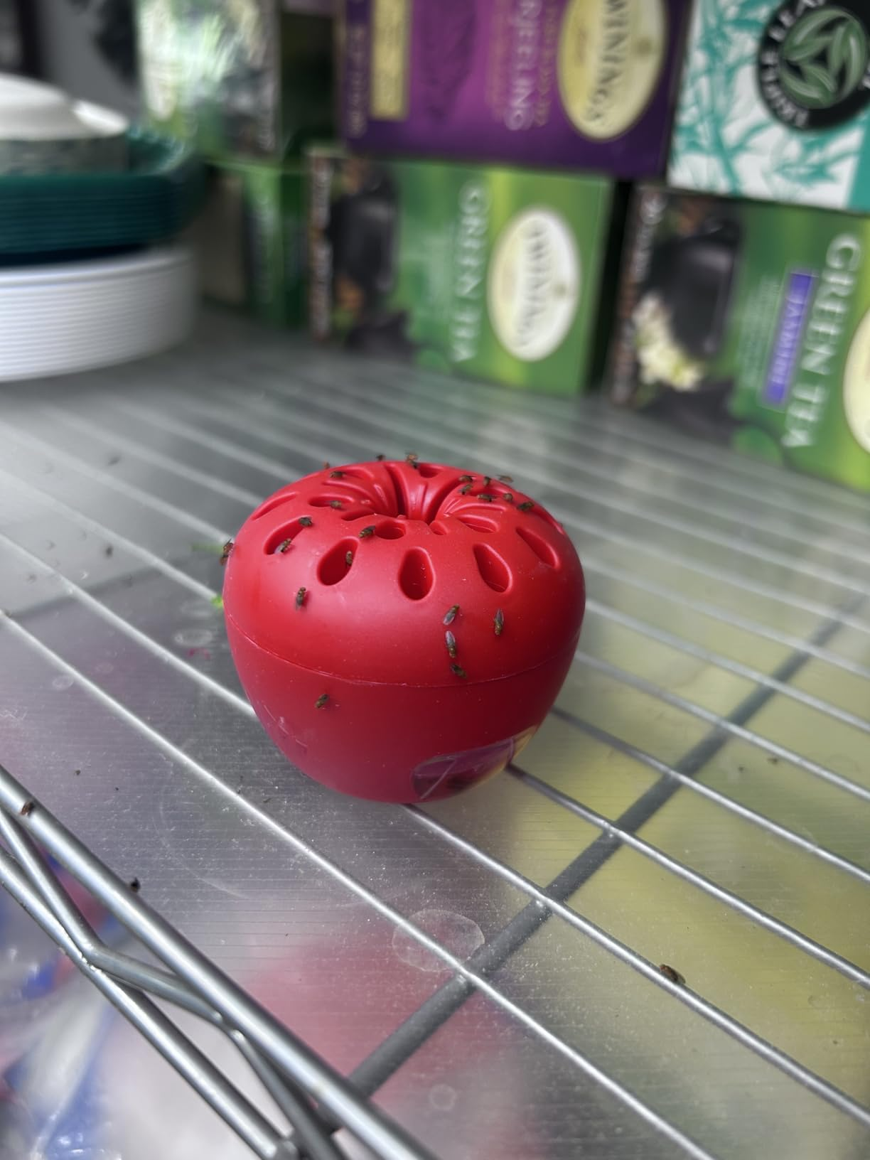 Red integrative  apple-shaped alert  trap connected  a metallic  shelf, surrounded by boxed beverage  products