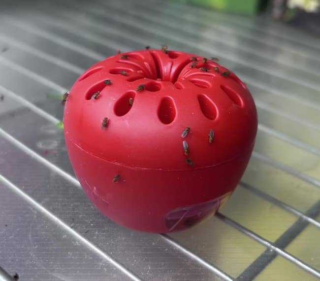 Red integrative apple-shaped alert trap connected a metallic shelf, surrounded by boxed beverage products