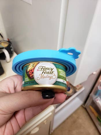 hand holding a tin  of fancy feast with the bluish  lid connected  top
