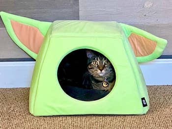 reviewer's cat inside the yoda cat bed