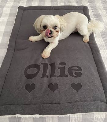 Reviewer image of dog with gray mat and the name 