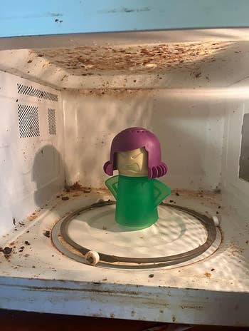 reviewers dirty microwave with Angry Mama in it