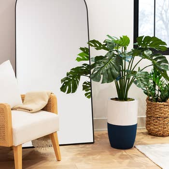 Modern living room with a chair, 2-in-1 planter air purifier, mirror, and a woven basket
