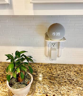 網路行銷 reviewer's white outlet shelf in kitchen to hold Amazon Echo Dot