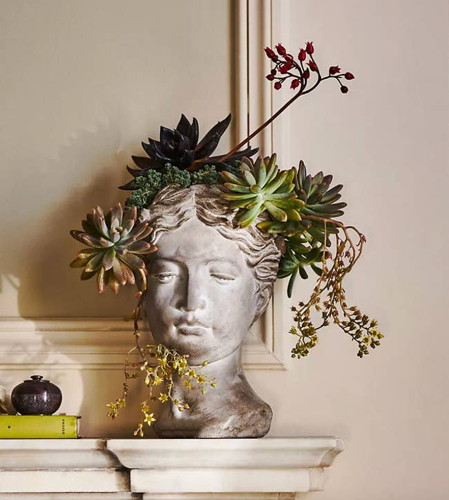 A gray grecian style bust flower pot with succulents coming out of it 